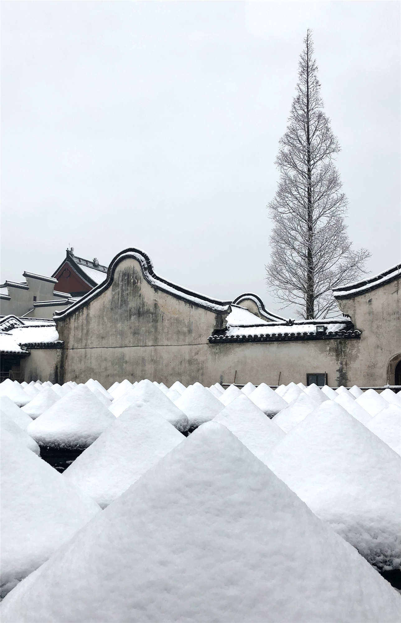 烏鎮(zhèn)雪 (5)_副本.jpg